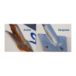 Sadira Desoxidante 500 ml