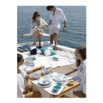 plato hondo harmony mare coral azul marine business
