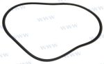 MF-MAS912574 - CORREA