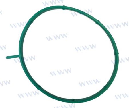 MF-PAF115-05060004 - JUNTA MODULO TPS
