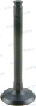 PAF4-04080006