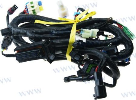 MF-PAF60-05000900 - WIRING HARNESS, ECU CONTROL DELFI