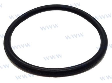 MF-PAJASOF404-2-24-031 - O-RING 24-031