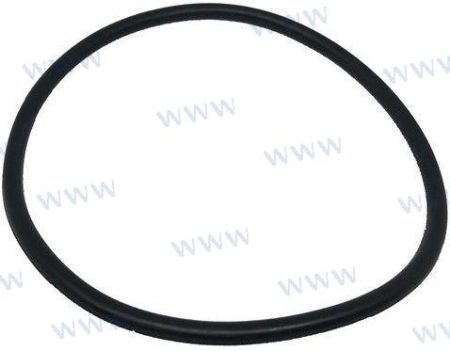 MF-PAJASOF40431-035 - TÓRICA