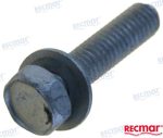 REC09116-06121