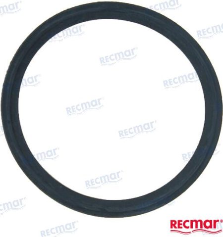MF-REC119578-49110 - JUNTA TERMOSTATO