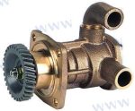 MF-REC129670-42513 - BOMBA AGUA MARINA YANMAR