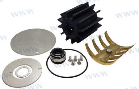 MF-REC207MINORKIT - KIT REPARACION BOMBA 3838207