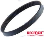 MF-REC25132-004250E - CORREA