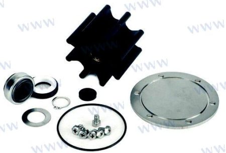 MF-REC374MINORKIT - KIT REPARACION BOMBA 21419374