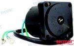 MF-REC38100-96J00 - MOTOR TRIM