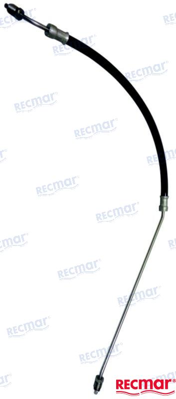 REC3853854 REC3853854