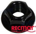 REC46335