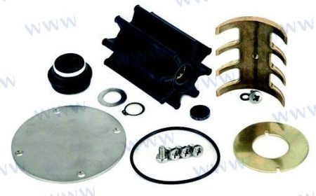 MF-REC494MINORKIT - KIT REPARACION BOMBA 22063494