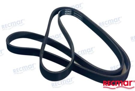 MF-REC57-879172120 - CORREA SERPENTIN