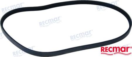 MF-REC57-8M0093495 - CORREA SERPENTIN