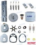 MF-RECKITMER150 - KIT MANTENIMIENTO MERCURY