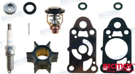 MF-RECKITMER2.5 - KIT MANTENIMIENTO MERCURY