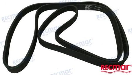 MF-RM21405494 - CORREA SERPENTIN