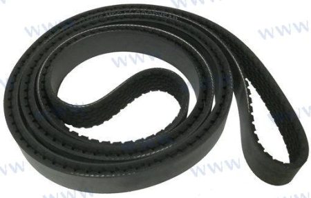 MF-RM3860087 - CORREA
