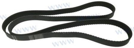 MF-RM3860093 - CORREA