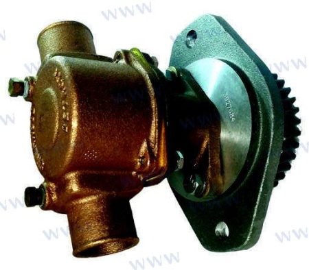 MF-SHEGC5 - BOMBA CUMMINS 4B 3927684