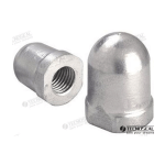 anodo renault zinc