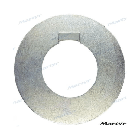 MF-CMD60C - ARANDELA RADICE 60