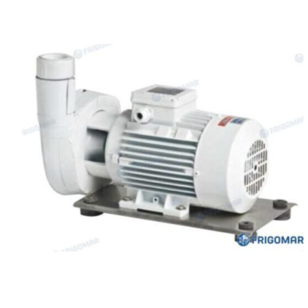 Bomba Circulación  C(M) 41/1E (0,75 KW)
