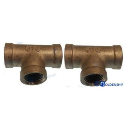 Conexión "T" Hembra Inox  1/2 (2)