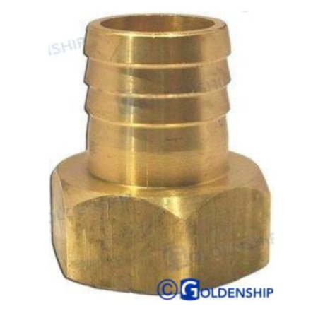 Entronque Hembra 1-1/2-40