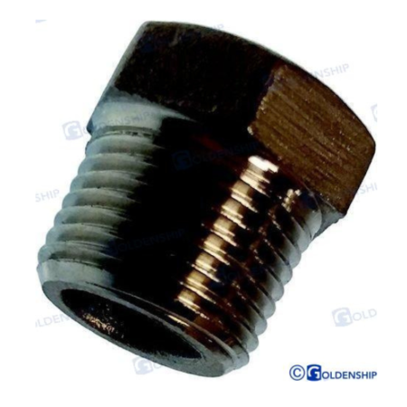 Tapón Macho Inox    2"