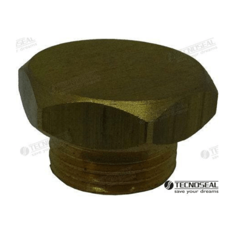 MF-TEN02010TP/99 - TAPON ANODO AIFO TEN02010T DIA 13