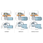 dp2-c-campana-2