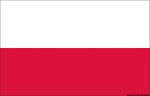 Bandera - Polonia