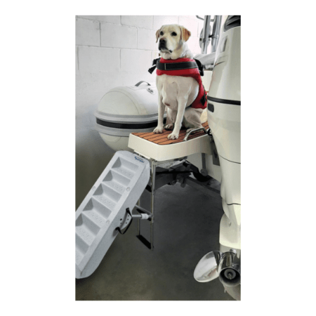 escalera para perros